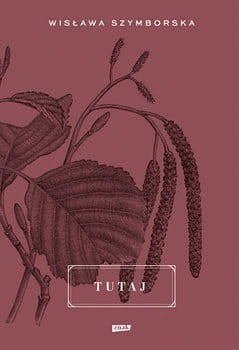 tutaj-w-iext43256882.jpg