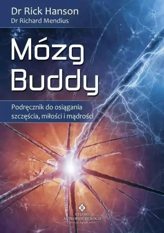 c7bae8c-mozg-buddy-podreczni.webp