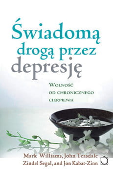 93-swiadoma-droga-przez-depr.jpg